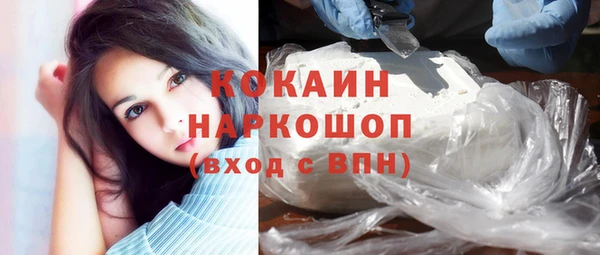 мет Новозыбков
