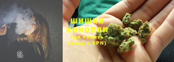 мет Новозыбков