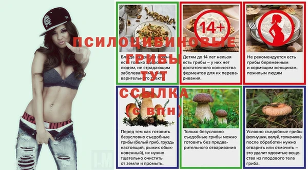 мет Новозыбков