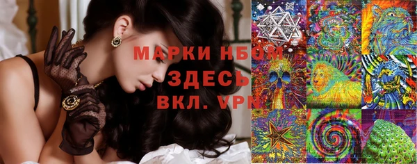 мет Новозыбков