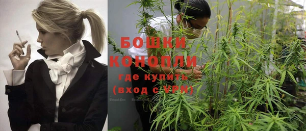 мет Новозыбков