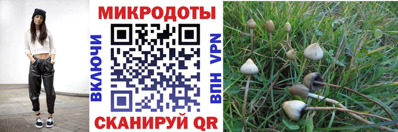 Псилоцибиновые грибы MAGIC MUSHROOMS  гидра ТОР  Шиханы 